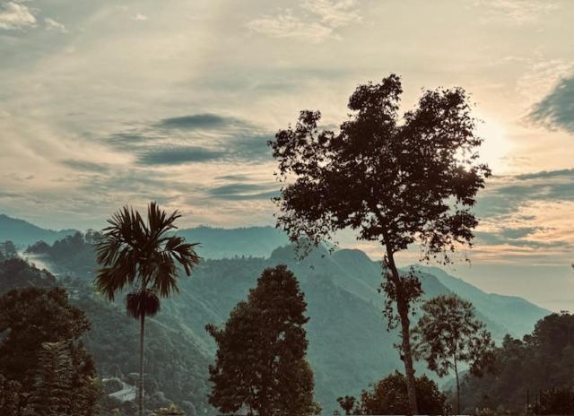 Ella Nimal Nest Inn Dış mekan fotoğraf