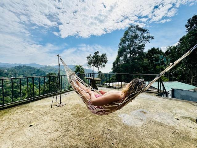 Ella Nimal Nest Inn Dış mekan fotoğraf